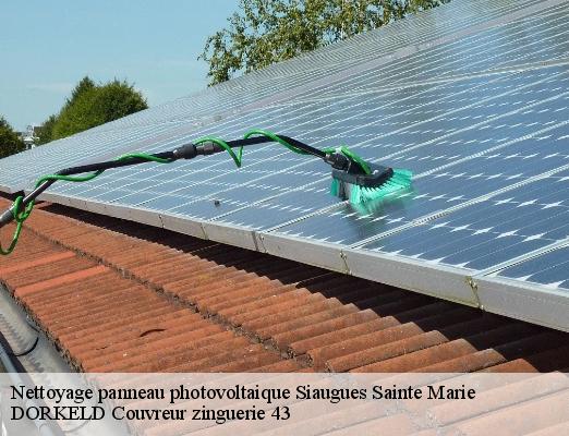 Nettoyage panneau photovoltaique  siaugues-sainte-marie-43300 DORKELD Couvreur zinguerie 43