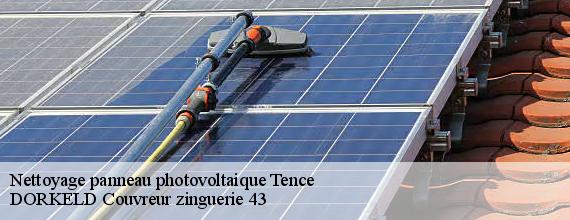 Nettoyage panneau photovoltaique  tence-43190 DORKELD Couvreur zinguerie 43