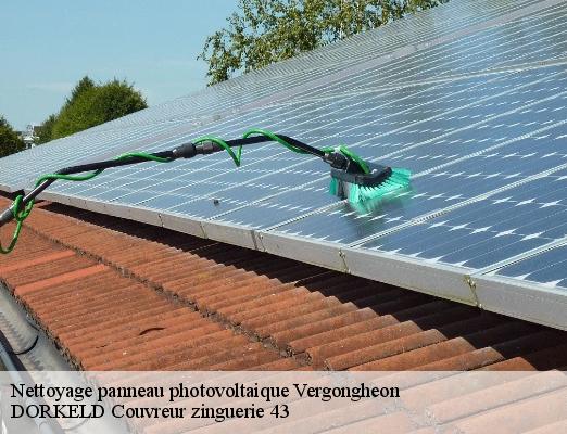 Nettoyage panneau photovoltaique  vergongheon-43360 DORKELD Couvreur zinguerie 43